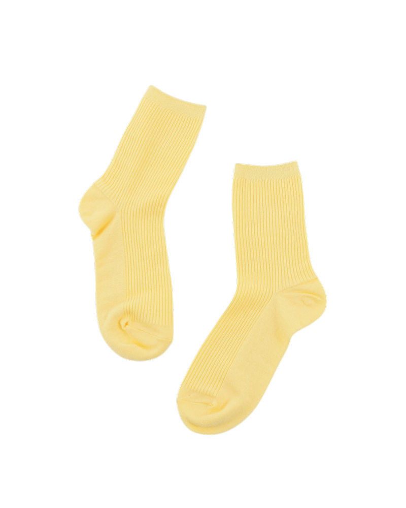 ����Ʈ ������ �̹���