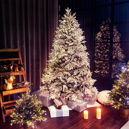 ��ǰ�̹���